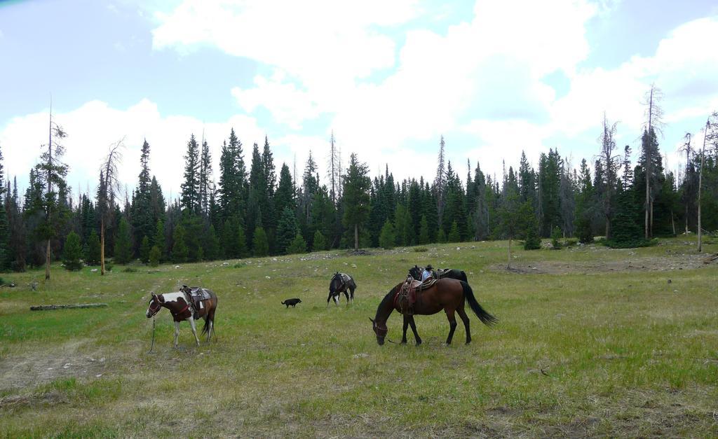 Medicine Bow Lodge Tenmile Extérieur photo